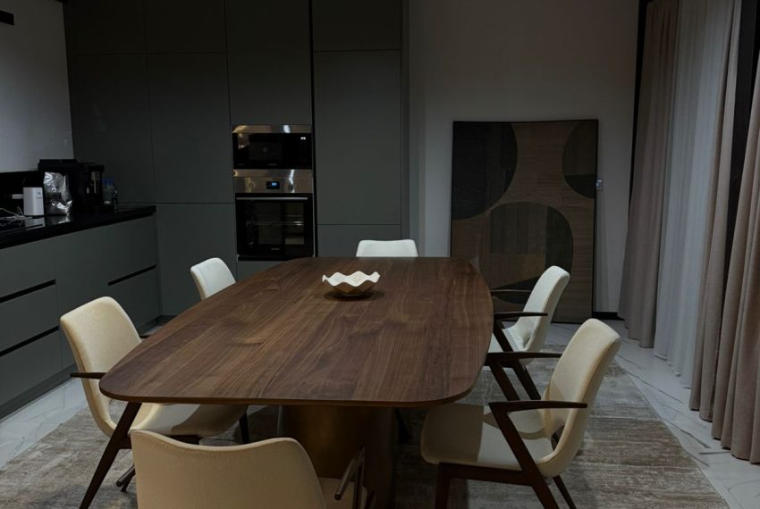 villa1 (10)