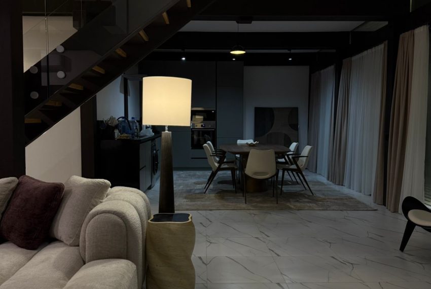 villa1 (4)